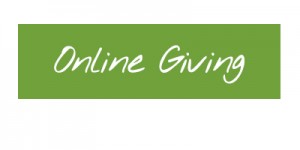 Online-Giving-Button
