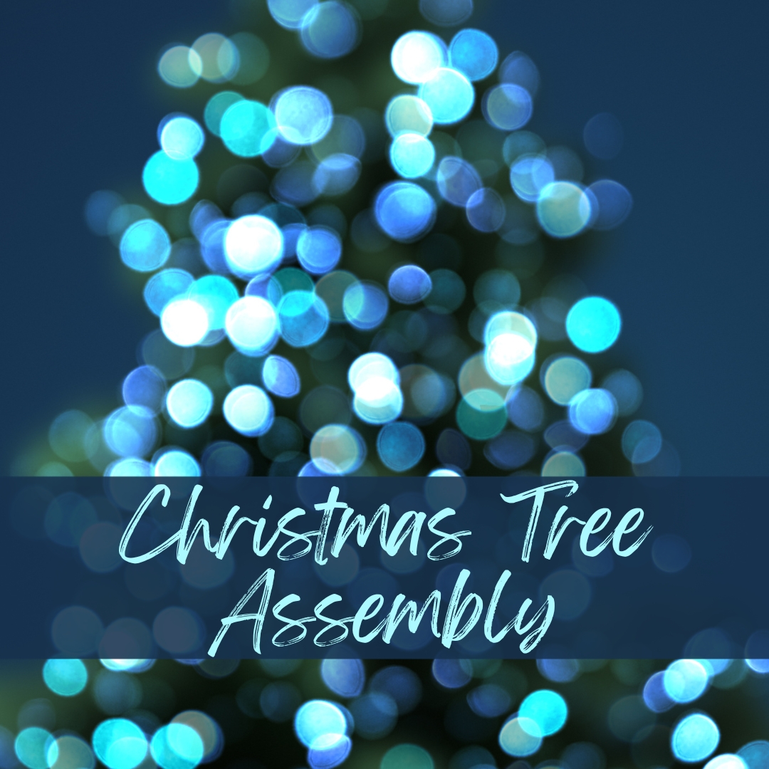 Christmas Tree Assembly Quest Church of St. Louis